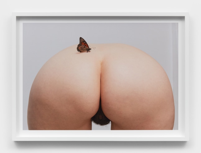 A photograph of the artist bent over in the nude with a monarch butterfly perched on her lower back.