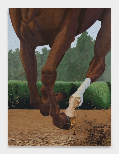 A painting depicting the legs of a brown horse mid gallop with one leg bandaged and mud kicking up.