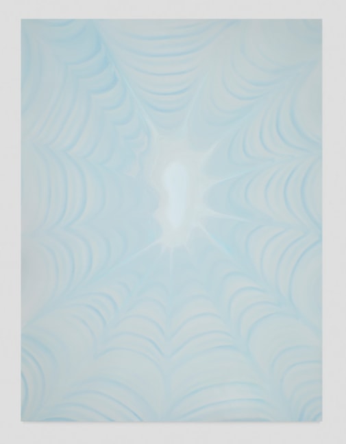 Wanda&amp;nbsp;Koop
Web (Soft Grey-Blue), 2020
acrylic on canvas
40 x 30 in
WK235