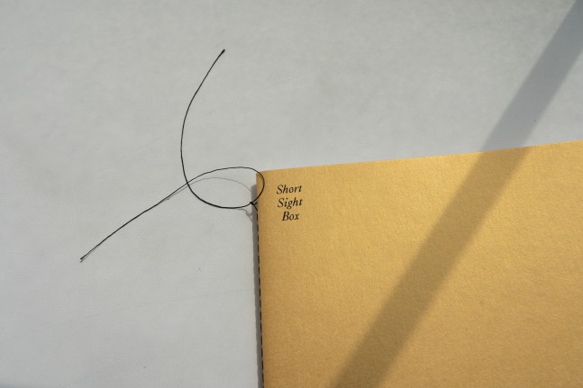 Tania P&eacute;rez C&oacute;rdova: Short Sight Box