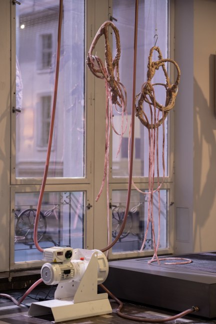 Mire Lee (b. 1988)

Carriers: offsprings - hangers, 2021

Silicone, silicone hoses, epoxy and other mixed media

29.1&amp;nbsp; x&amp;nbsp; 41&amp;nbsp; x 94.5 inches

73.9 x 104.1 x 240 cm