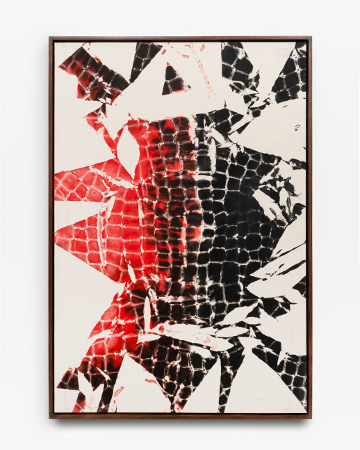 Maia Ruth Lee
B.B.M Red Umbra 1-37, 2022
India ink on canvas
34 x 54 in
86.4 x 137.2 cm