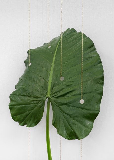 Tania P&amp;eacute;rez C&amp;oacute;rdova (b. 1979)

Alocasia Macrophyllus, 2022

Artificial plant, 14 karat gold-plated silver chain, iron structure

9 1/2 x 34 5/16 x 15 3/8 inches

24 x 87 x 39 cm