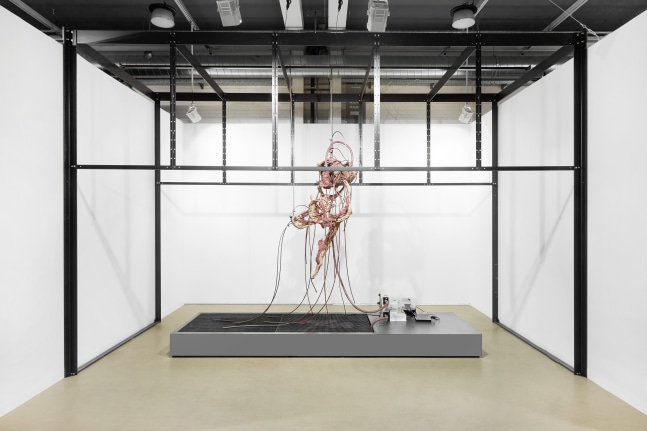 Mire Lee (b. 1988)

Endless House: Harlequin Baby, 2022

Fired clay, silicone, glycerine, glaze, peristaltic pump and other mixed media

Metal plinth: 26 x 120 x 380 cm

Sculpture appx. 60 x 80 x 200 cm

Dimensions variable