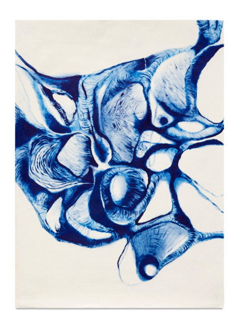 Salmo Suyo

Series: Disforia, 2022

Cyan pigment on paper

58 x 42 cm
22 3/4 x 16 1/2 in

Unique
