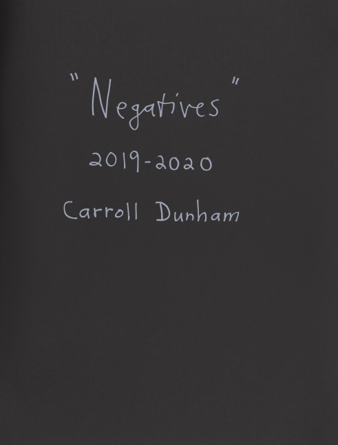 Carroll Dunham, Negatives