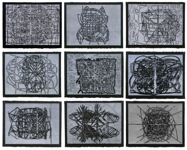 Graphic Primitives, 1998
A portfolio of 9 woodcuts printed on Japanese Kochi paper
20 x 26 inches&amp;nbsp;
Edition of 35