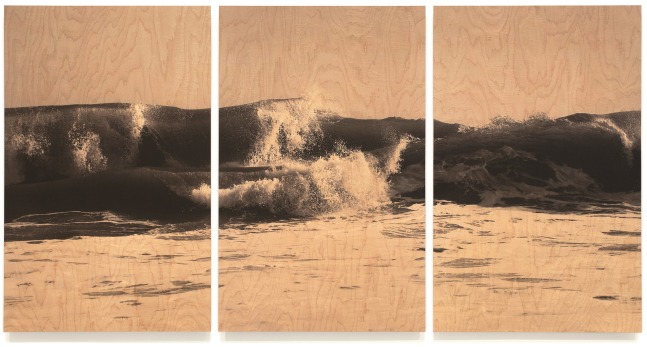 Wood Wave LVI, triptych

UV cured ink on maple veneer 74 &amp;times; 144&amp;quot;, three panels, each 74 &amp;times; 47&amp;quot; (panel size) 2015