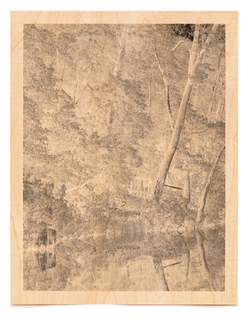 Trees III (Wood)

Archival Pigment Print on Wood Veneer 31 x 25&amp;quot; (frame) 2010