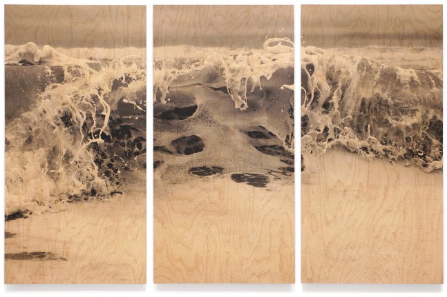Wood Wave LX, triptych

UV cured ink on maple veneer 74 &amp;times; 114&amp;quot;, three panels, each 74 &amp;times; 37&amp;quot; (panel size) 2015