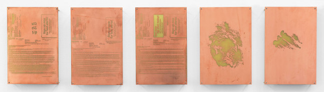 Body Print (Azithromycin 250 mg Dose Pack, Lorazepam 1 mg Tablet, Metronidazole Topical 0.75%GL, Lower Rib Cage and Attending Soft Tissues, Left Metacarpophalangeal Joint and Attending Soft Tissues)
2017
Etched copper-clad FR-4 glass-reinforced epoxy laminate board
12 x 8 inches (30.5 x 20.3 cm) each, 5 parts