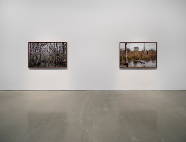 Catherine Opie - Swamps