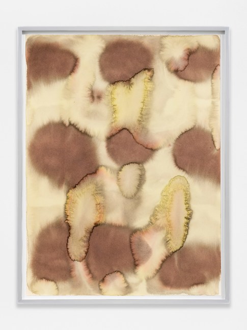 Rebecca Morris
Untitled (#236-20)
2020
Watercolor and ink on paper
25 1/8 x 19 1/4 x 1 1/2 inches (63.8 x 48.9 x 3.8 cm)