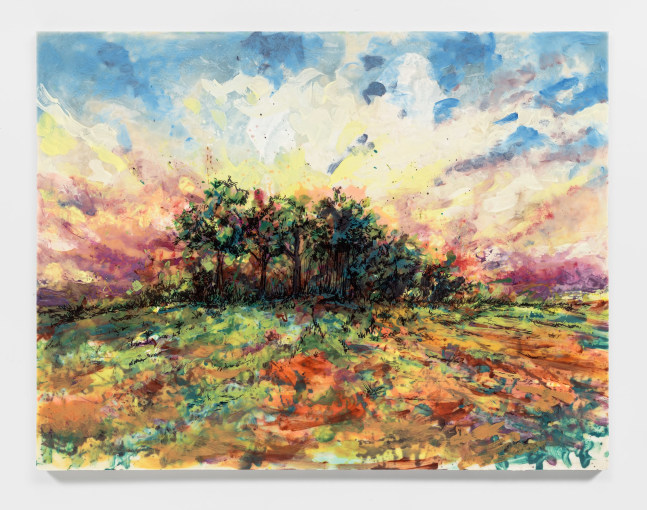 Kevin Beasley
The Light and the Thicket
2024
Polyurethane resin, raw Virginia cotton, Sharpie transfer, fiberglass
55 3/4 x 72 3/4 x 1 7/8 inches (141.6 x 184.8 x 4.8 cm)