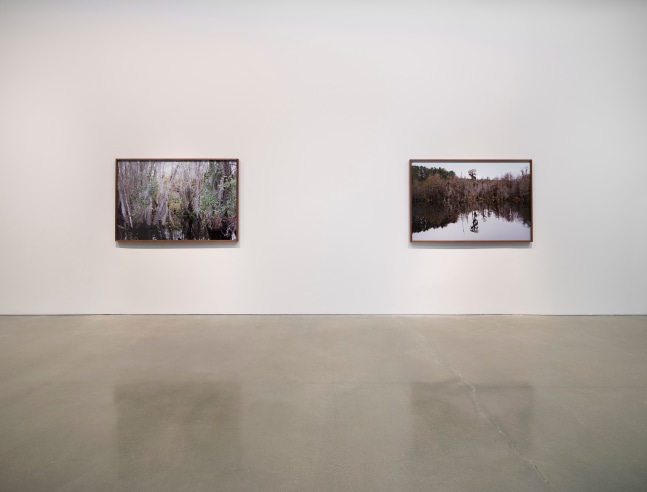 Catherine Opie - Rhetorical Landscapes