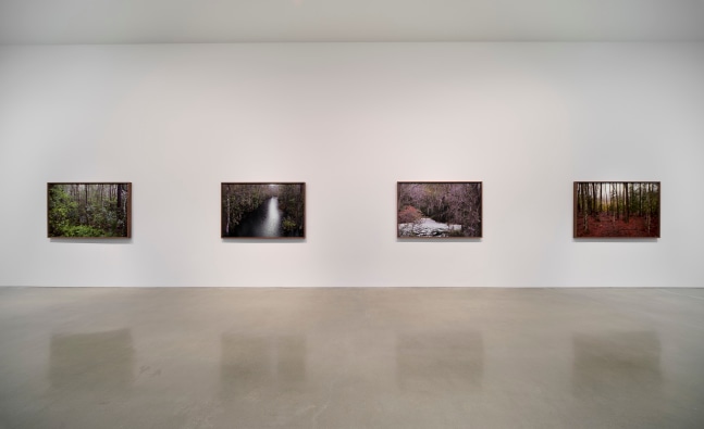 Catherine Opie - Rhetorical Landscapes