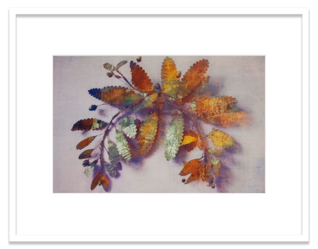 Fragment of a Gold Leaf Wreath
2020
Oil pigment, electrostatic print on polyester (Winsor &amp;amp; Newton Artists&amp;#39; Oil Color, HP Color&amp;nbsp;LaserJet CP5225&amp;nbsp;on Pronto Plate)&amp;nbsp;
Image Dimensions:&amp;nbsp;11 1/2 x 17 1/4&amp;nbsp;inches (29.2 x 43.8 cm)
Framed Dimensions:&amp;nbsp;18 &amp;frac34; x 24 inches (47.6 x 61 cm)
Variable edition of 5 + 1AP