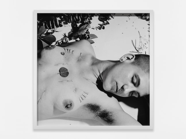 Catherine Opie
Ian needles and flowers, 1993
1993/2024
Pigment print
16 1/2 x 16 1/2 x 1 1/2 inches (41.9 x 41.9 x 3.8 cm)