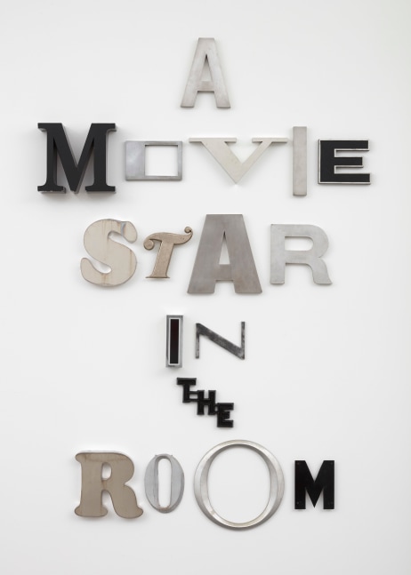 Jack Pierson
A MOVIE STAR IN THE ROOM
2020
Enamel, metal, and plastic
100 1/2 x 67 1/4 x 5 inches (255.3 x 170.8 x 12.7 cm)

DOUBLE CLICK IMAGE FOR MORE VIEWS