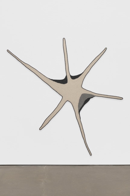 Andrea Zittel
Single Strand Shapes: Forward Motion (large white star)
2005
Sheep&amp;#39;s wool, crocheted
96 1/4 x 102 1/2 x 1/8 inches (244.5 x 260.4 x .3 cm)

SOLD


DOUBLE CLICK IMAGE FOR MORE VIEWS