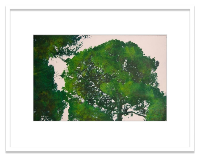 Athens. National Garden. Aleppo Pine
2020
Oil pigment, electrostatic print on polyester (Winsor &amp;amp; Newton Artists&amp;#39; Oil Color, HP Color&amp;nbsp;LaserJet CP5225&amp;nbsp;on Pronto Plate)&amp;nbsp;
Image Dimensions:&amp;nbsp;11 1/2 x 17 1/4 inches (29.2 x 43.8 cm)
Framed Dimensions:&amp;nbsp;18 &amp;frac34; x 24 inches (47.6 x 61 cm)
Variable edition of 5 + 1AP