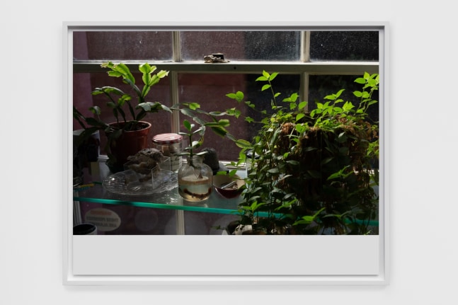 Wolfgang Tillmans
basement still life
2020
Inkjet print on paper
13 3/8 x 17 3/8 x 7/8 inches (34 x 44.1 x 2.2 cm)