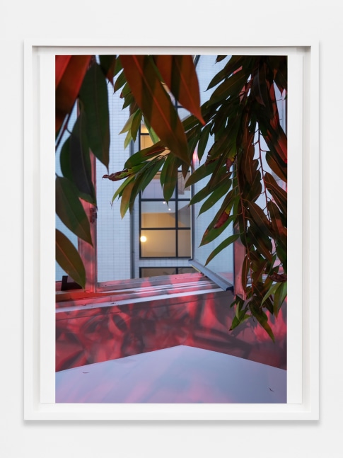 Wolfgang Tillmans
Window Left Open
2023
Inkjet print on paper
17 3/8 x 13 3/8 x 7/8 inches (44.1 x 34 x 2.2 cm)