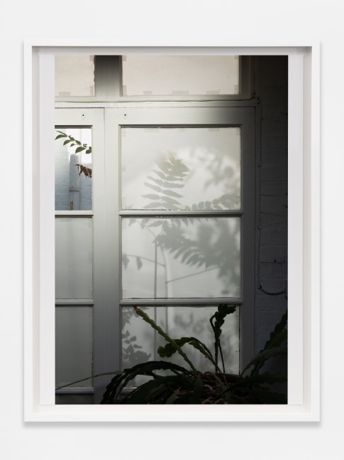 Wolfgang Tillmans
Seb Street Shadows
2021
Inkjet print on paper
17 3/8 x 13 3/8 x 7/8 inches (44.1 x 34 x 2.2 cm)