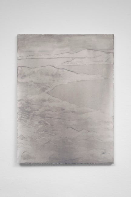 Silke Otto-Knapp
Tilting
2016
Watercolor on canvas
31 1/2 x 23 5/8 x 1 inches (80 x 60 x 2.5 cm)