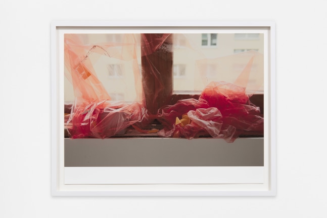 Wolfgang Tillmans
Fensterbank
2021
Inkjet print on paper
13 3/8 x 17 3/8 x 7/8 inches (34 x 44 x 2.2 cm)