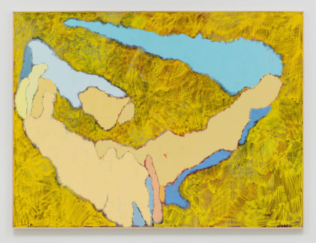 Daniel Richter
a new from above
2016
Oil on canvas
79 7/8 x 107 1/2 x 1 3/4 inches (202.9 x 273.1 x 4.4 cm)
&amp;euro;275,000

DOUBLE CLICK IMAGE FOR MORE VIEWS