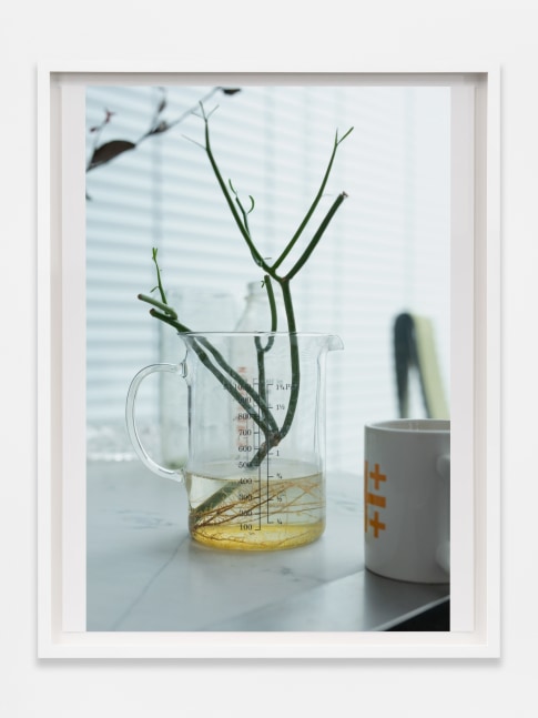 Wolfgang Tillmans
July Layers
2022
Inkjet print on paper
17 3/8 x 13 3/8 x 7/8 inches (44.1 x 34 x 2.2 cm)