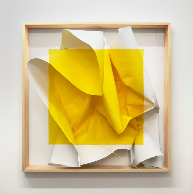 Acrylic on Paper I, 2020 &amp;nbsp;
Digital pigment print 42.5 x 42.5 in (108 x 108 cm) framed
Edition 1 of 6 + 2 AP