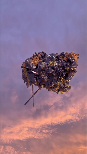 Andr&amp;eacute; Hemer
Sky sculpture (Peonies/Vienna, May 19, 20:34 CEST)
HD video (H.264), 1980 x 1080.
53 sec loop.&amp;nbsp;
&amp;nbsp;
