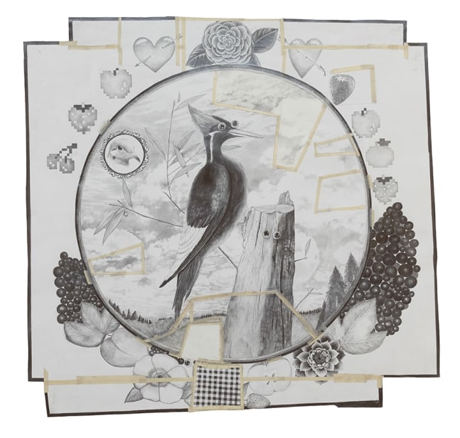 A drawing by Kristen Morgin featuring a woodpecker in the center.