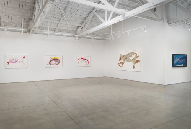 Installation view of Jorinde Voigt: Works on Paper​​​​​​​, 2025
