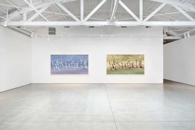 Installation view of Richard Misrach Dancing with Nature​​​​​​​, 2024