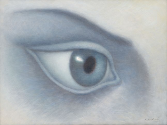 Acuario, c. 2012