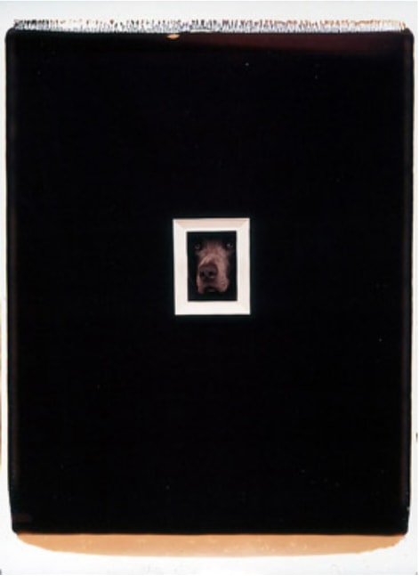 Framed Portrait, 1996