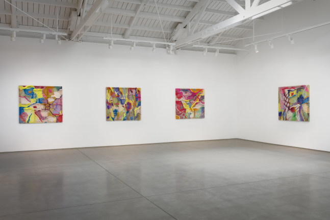 Installation view of Channing Hansen Cosmic Fabric​​​​​​​, 2024