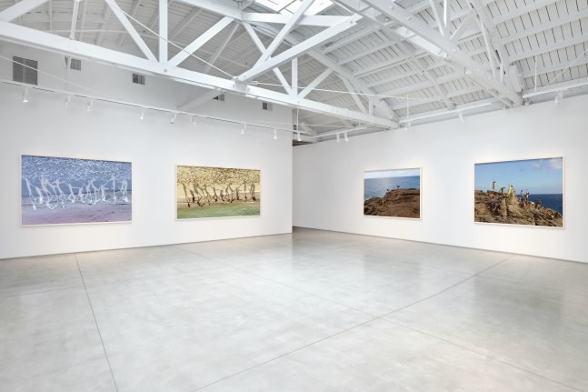 Installation view of Richard Misrach Dancing with Nature​​​​​​​, 2024