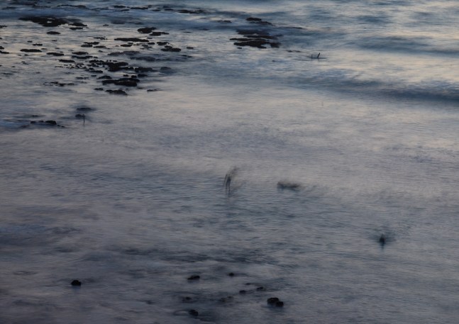 A photograph by Richard Misrach titled 'Untitled (January 17, 2015, 6:36PM),' 2015
