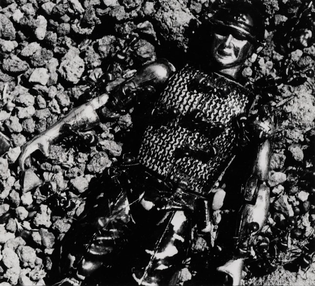 David Wojnarowicz, Untitled (Control) from the Ant Series, 1988-89