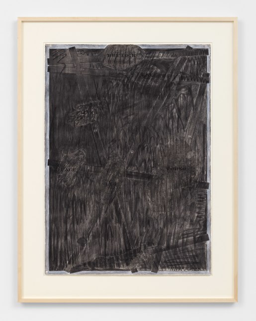 Jasper Johns&amp;nbsp;

Untitled, 1973

Charcoal, opaque white, and graphite pencil on paper

41 1/4 x 29 1/2 inches

D229