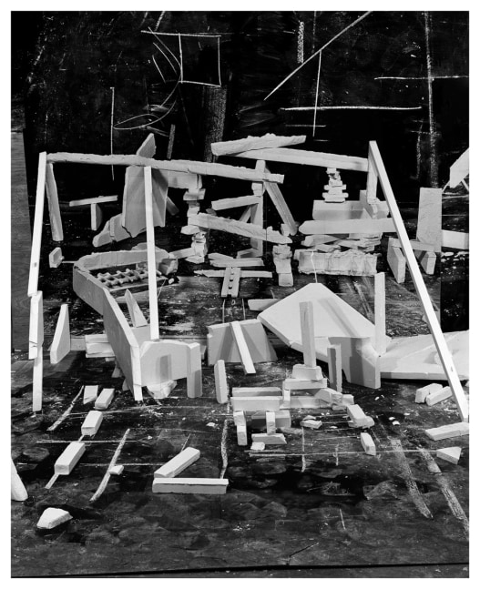 Hedonic Reversal photograph by Rodrigo Valenzuela