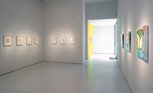 Installation view, Remedy of Anything, McClain Gallery, Houston, TX, May 2021