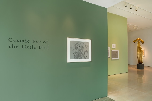 COSMIC EYE OF THE LITTLE BIRD