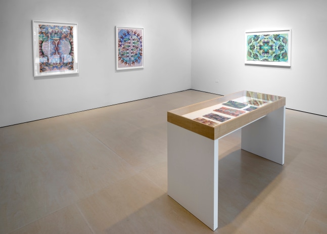 Installation view, Gates of Cilicia, McClain Gallery, Houston, TX, February 2021