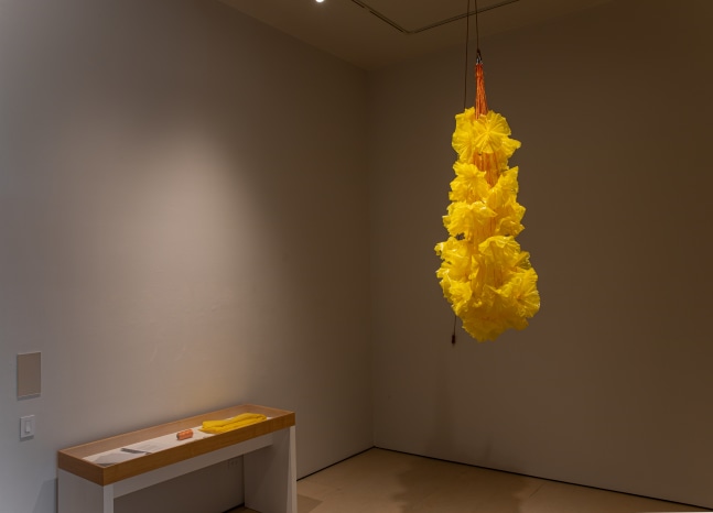 Nick Vaughan and Jake Margolin  SPIRITUS: Obergefell v Hodges, 2023  plastic bags, breath, complete text of oral arguments, decision, and dissents in Obergefell v Hodges, string  dimensions variable