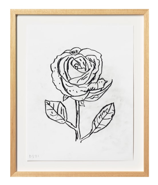 Donald Baechler Flower, 2021 graphite on Strathmore Archival Bond paper paper: 14 x 11 inches  frame: 17 5/16 x 14 1/4 inches